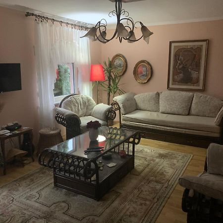 Apartmani Stojanovic Sremska Kamenica Экстерьер фото