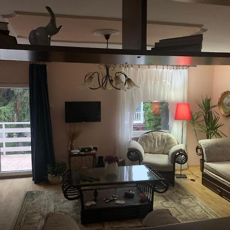 Apartmani Stojanovic Sremska Kamenica Экстерьер фото
