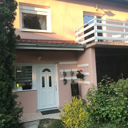 Apartmani Stojanovic Sremska Kamenica Экстерьер фото
