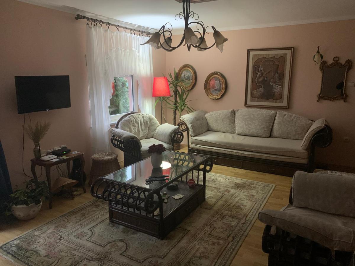Apartmani Stojanovic Sremska Kamenica Экстерьер фото