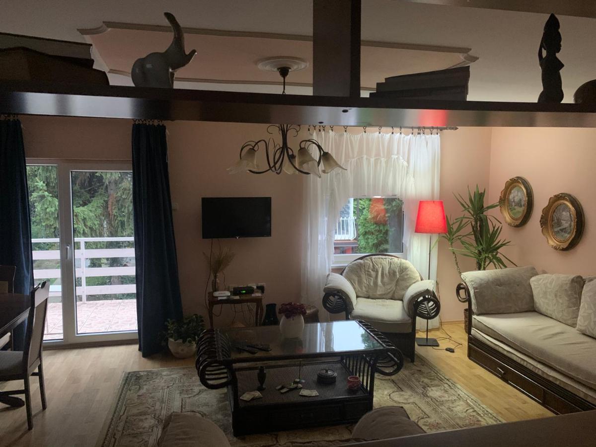 Apartmani Stojanovic Sremska Kamenica Экстерьер фото