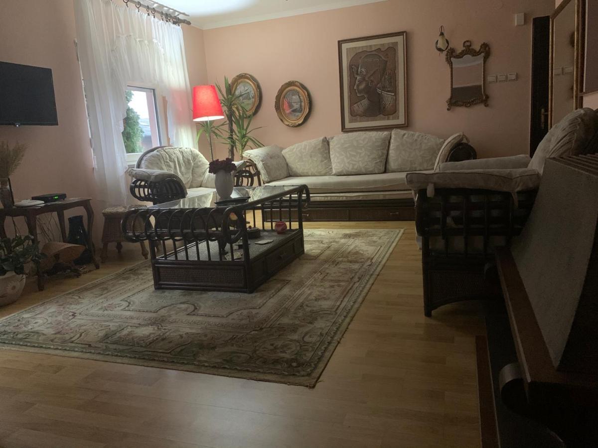 Apartmani Stojanovic Sremska Kamenica Экстерьер фото