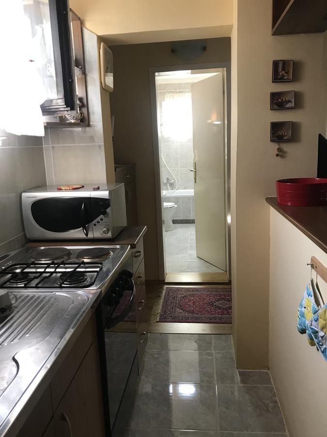 Apartmani Stojanovic Sremska Kamenica Экстерьер фото