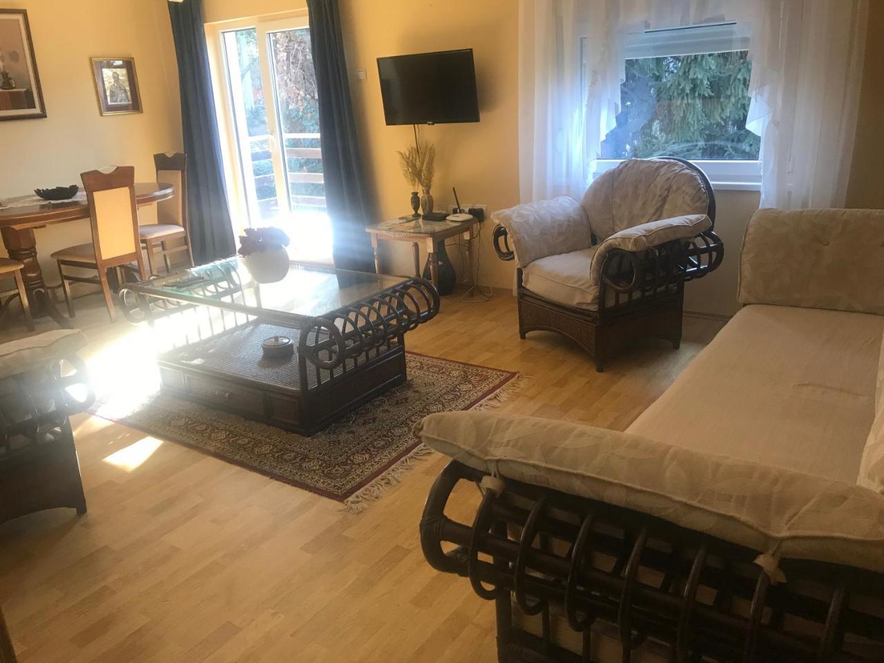 Apartmani Stojanovic Sremska Kamenica Экстерьер фото