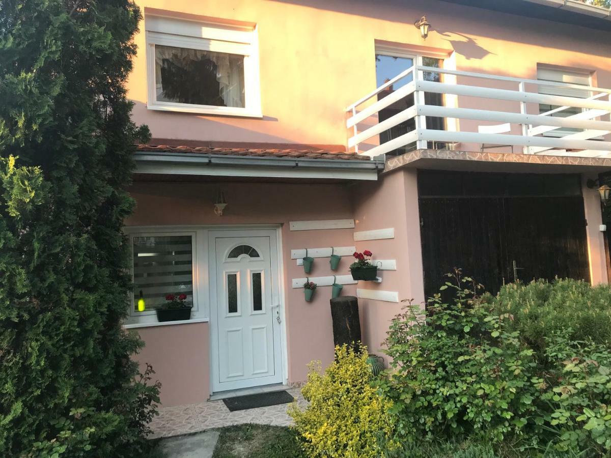Apartmani Stojanovic Sremska Kamenica Экстерьер фото