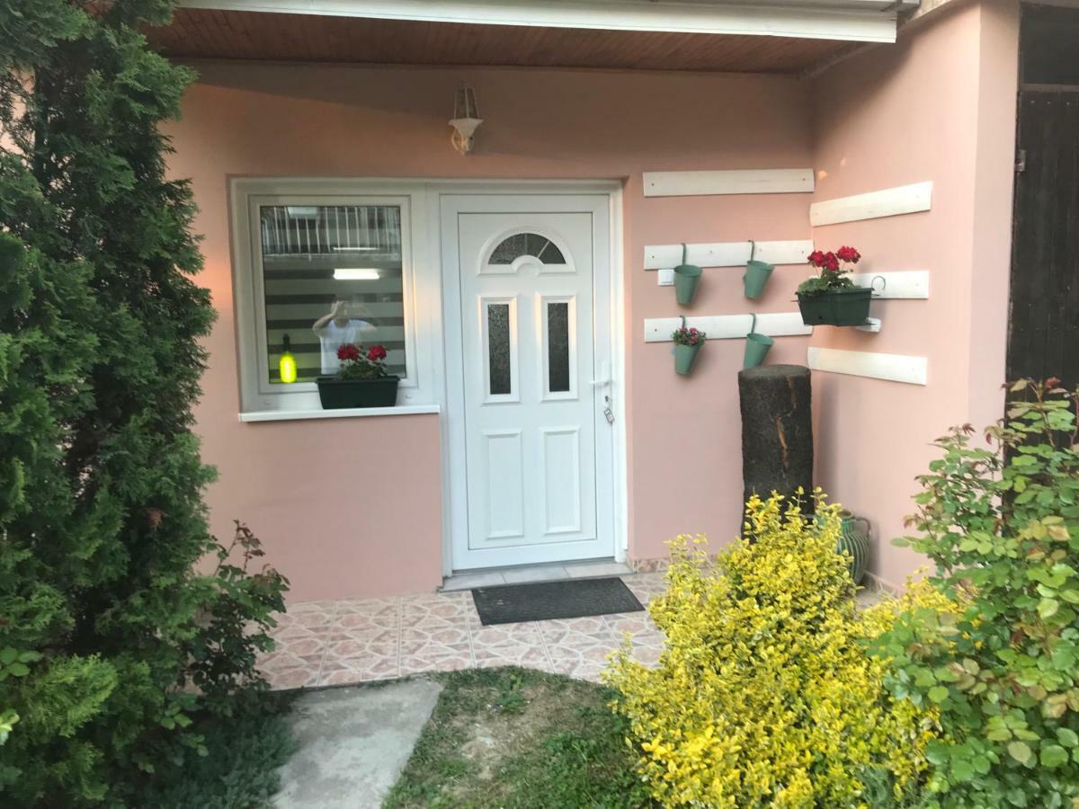 Apartmani Stojanovic Sremska Kamenica Экстерьер фото