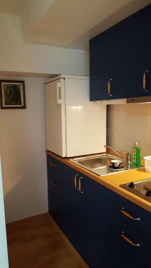 Apartmani Stojanovic Sremska Kamenica Экстерьер фото