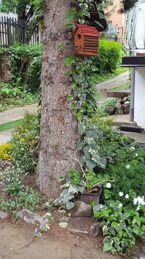 Apartmani Stojanovic Sremska Kamenica Экстерьер фото