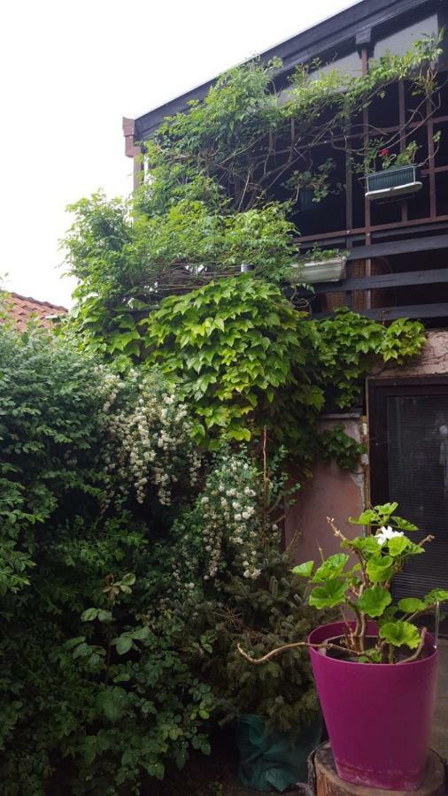 Apartmani Stojanovic Sremska Kamenica Экстерьер фото
