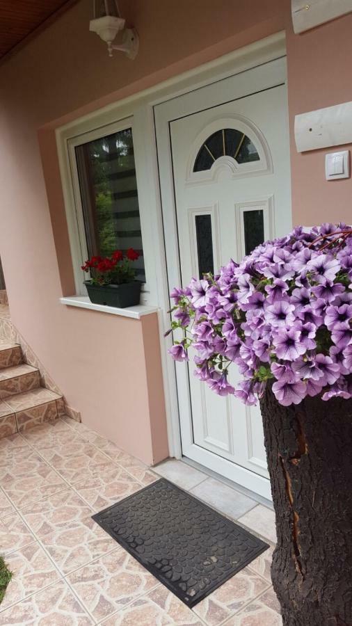 Apartmani Stojanovic Sremska Kamenica Экстерьер фото