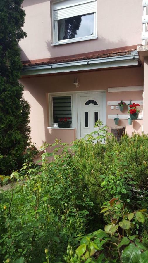 Apartmani Stojanovic Sremska Kamenica Экстерьер фото