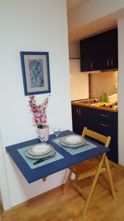 Apartmani Stojanovic Sremska Kamenica Экстерьер фото