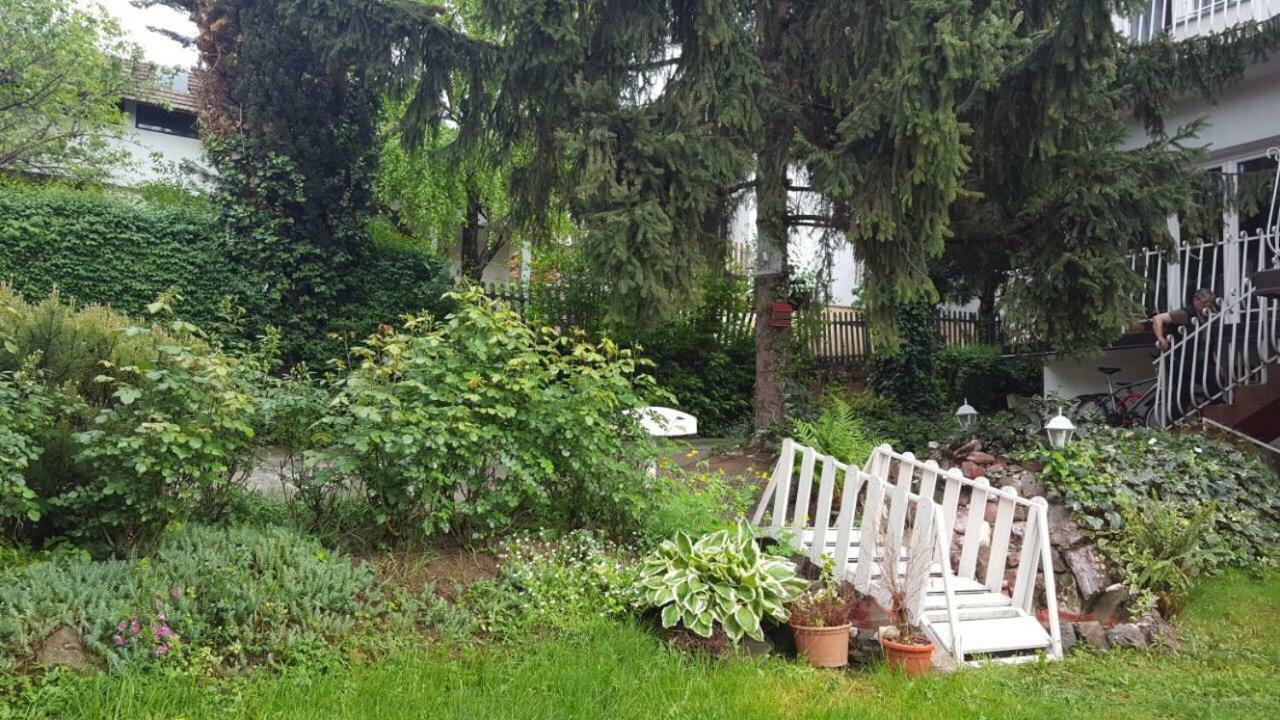 Apartmani Stojanovic Sremska Kamenica Экстерьер фото