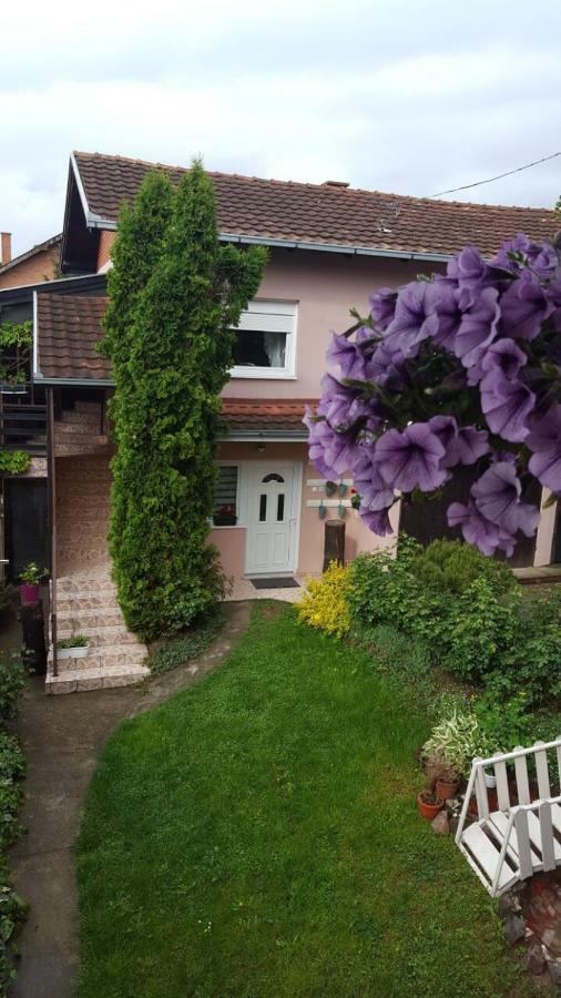 Apartmani Stojanovic Sremska Kamenica Экстерьер фото